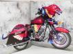 WWW.Livro MotorCycles (Cube Boor)