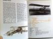 WWW.Livro The Complete Encyclopedia of Fight 1848/1939